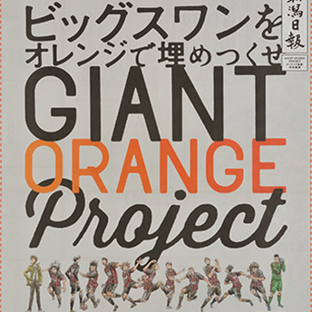 GIANT ORANGE Project